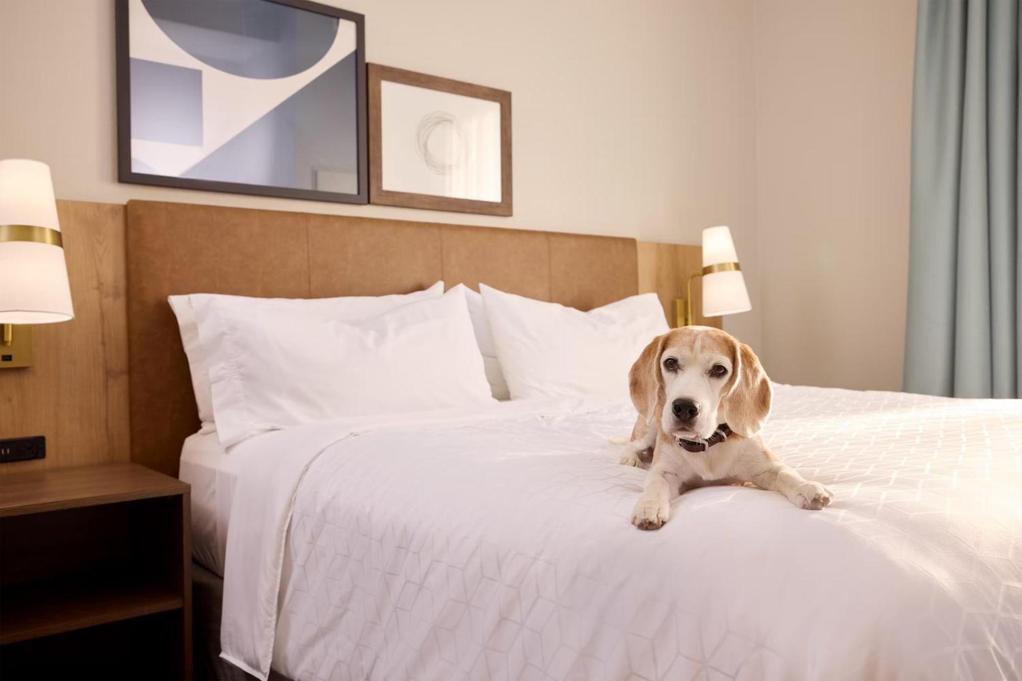Staybridge Suites Omaha 80Th And Dodge By Ihg Kültér fotó